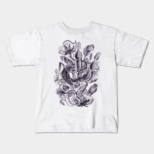 Ernst Haeckel Pitcher Plant Lavendar Kids T-Shirt